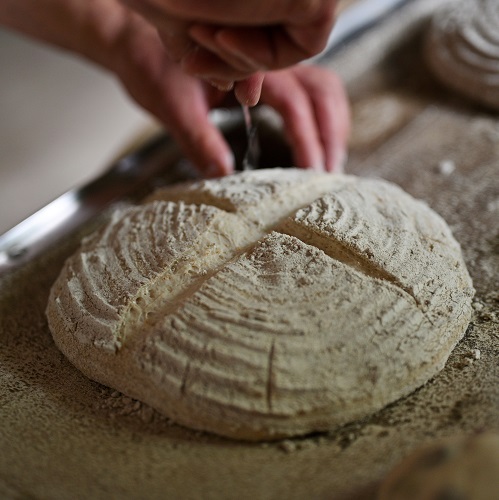 ïŒå¯è¯éå²³ã®æ¹§ãæ°Žä»èŸŒã¿ïŒèªå®¶è£œå€©ç¶é
µæ¯ã®ã«ã³ããŒãã¥6çš®10åã»ãã