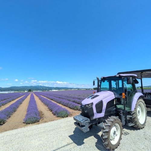 【セット】【ファーム富田】ラベンダーリースとオイルミストセット