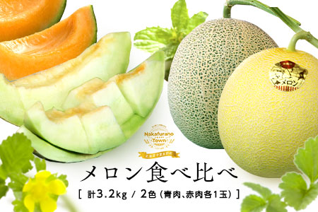 【2026年発送】中富良野産メロン赤肉・青肉　各1玉（1.6kg）