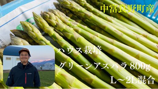 【2026年発送】中富良野町産グリーンアスパラ800g （L〜2Lサイズ混合）