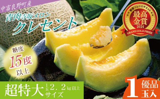【2026年発送】【中富良野町】寺坂メロン　1玉入り（青肉超特大）