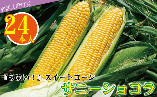 【中富良野町　寺坂農園】とうもろこし『サニーショコラ』(24本入り)