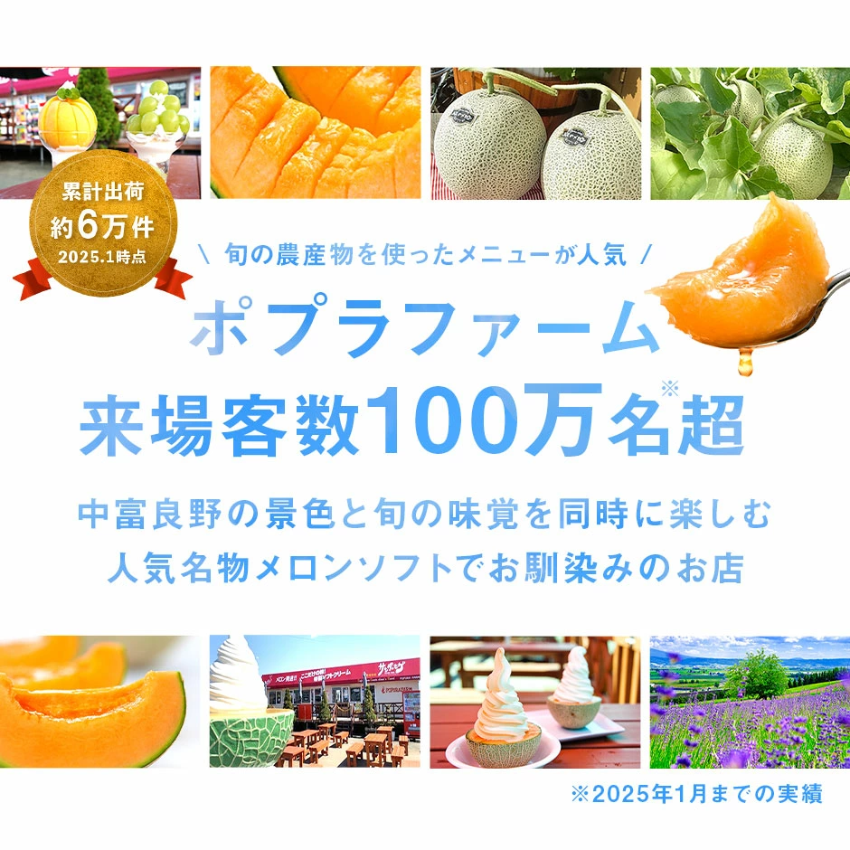 【2026年発送】【ポプラファーム】富良野メロン 大玉4玉（計8kg以上　秀品）