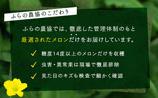 ã2026幎çºéãå¯è¯éã¡ãã³4ïœ5çïŒèš8kg以äžïŒ