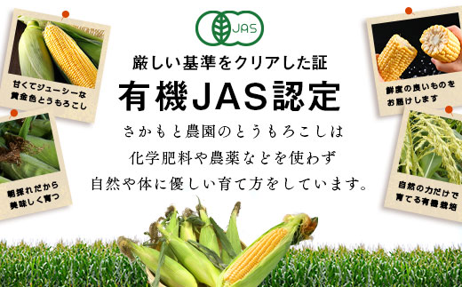 【2026年発送】朝採り有機栽培スイートコーン22本入