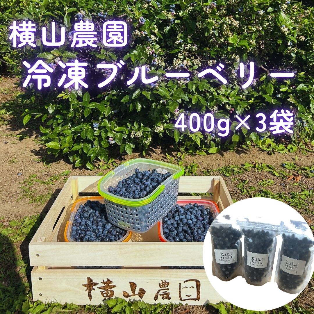 横山農園の冷凍ブルーベリー400g×3袋