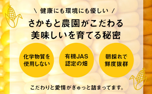 【2026年発送】朝採り有機栽培スイートコーン12本入