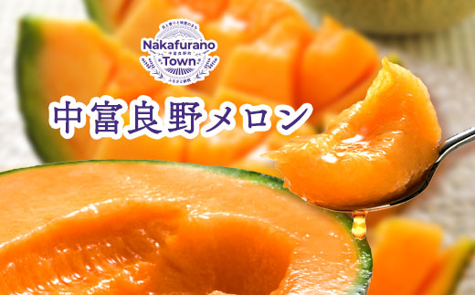 【2026年発送】【鈴和産】遠藤ファームの中富良野メロン8kg（3〜6玉）