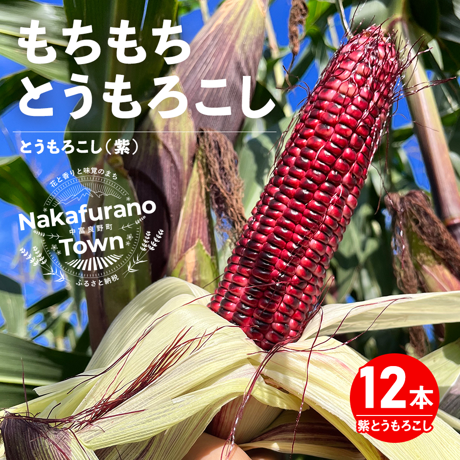 縲2026蟷エ逋コ騾√代b縺。繧ゅ■繝医え繝「繝ュ繧ウ繧キ邏ォ縲12譛ャ縲荳ュ蟇瑚憶驥守肇