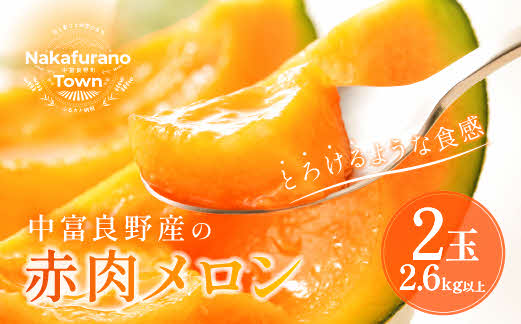 【2026年発送】中富良野赤肉メロン2玉（計2.6kg〜)
