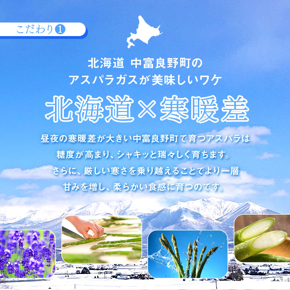 ææ©æ œå¹ã¢ã¹ãã©1ãïŒãµã€ãºæ··åïŒ