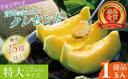 【2026年発送】【中富良野町】寺坂メロン　1玉入り（青肉特大）