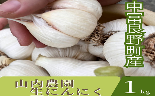 【2026年発送】山内農園の生にんにく1kg