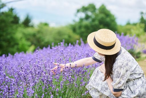 町長が必要と認める事業