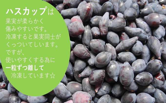 自家農園産・冷凍ハスカップ1kg（500g×2袋） 北海道 南富良野町 ハスカップ 果実 冷凍 大容量 冷凍ハスカップ |JALふるさと納税|JALのマイルがたまるふるさと納税サイト