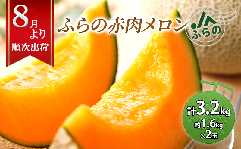 2026年夏発送 JAふらの厳選！ふらの赤肉メロン 1.6kg×2玉  メロン めろん 富良野メロン 果物 くだもの フルーツ 富良野 デザート 北海道 贈り物 ギフト 果物類 メロン赤肉