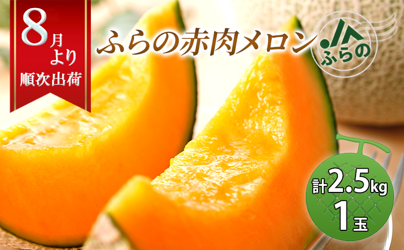 2026年夏発送  メロン 北海道 ふらの 赤肉メロン 約2.5kg×1玉 JAふらの 厳選 産地直送 赤肉 富良野メロン フルーツ 果物 果実 旬 旬のくだもの デザート おやつ めろん 富良野