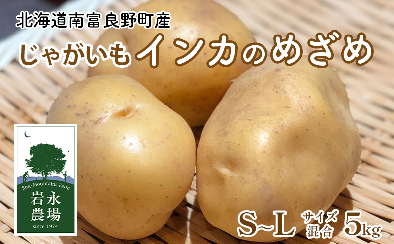 【2025秋～発送】 北海道 南富良野町 じゃがいも「インカのめざめ」 5kg(S～Lサイズ混合) じゃがいも ジャガイモ いんか インカ 野菜 やさい