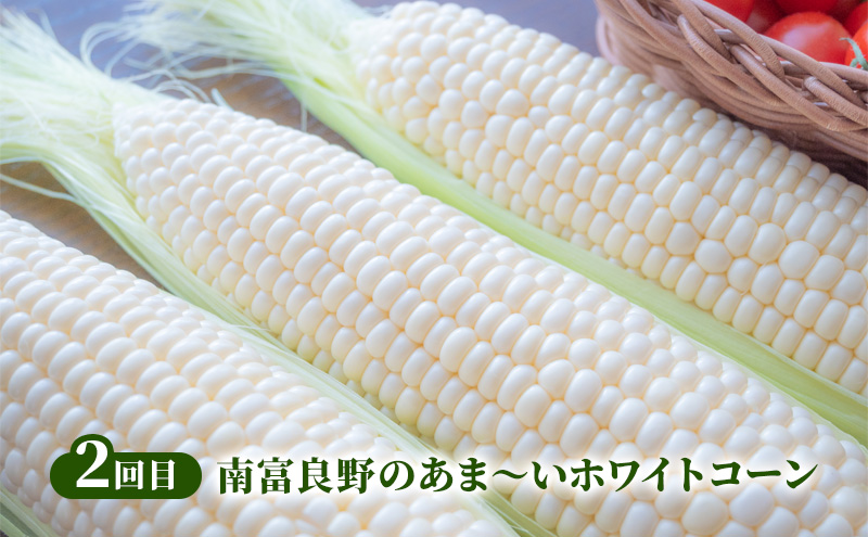 2025年発送 南富良野から贈る 人気野菜 3回お届け定期便 北海道 ふらの 南富良野 メロン とうもろこし じゃがいも 人参 玉ねぎ