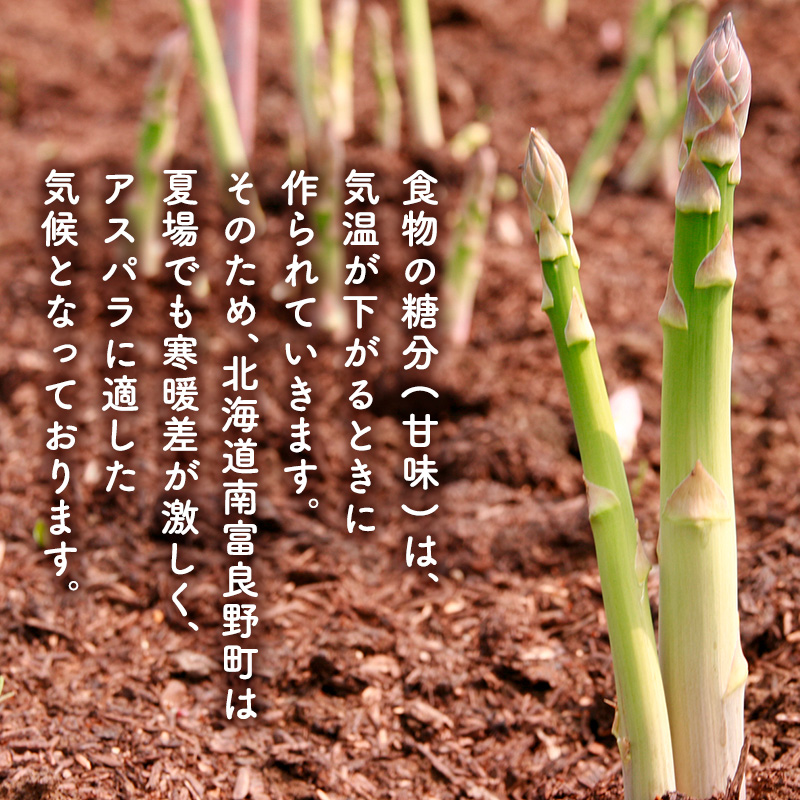 【2026年春配送】北海道南富良野町 アスパラ 2kg MLサイズ 混合 トマト農家 鳥羽農園の作る 新鮮 野菜 産地直送 甘い ジューシー ふるさと納税 送料無料