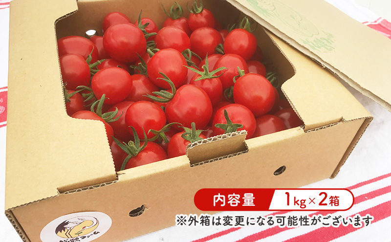 【2026年発送】ミニトマト ほれまる 2kg［松鶴ファーム］野菜ソムリエサミット金賞 トマト ミニトマト プチトマト 野菜 やさい 新鮮 とれたて 甘い 北海道 南富良野