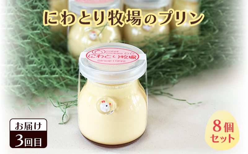 南富良野 こだわりお菓子堪能 定期便 4回［ ポテトチップス ポテチ じゃがいも ジャガイモ お菓子 スナック プリン デザート スイーツ アイス アイスクリーム おやつ 北海道 南富良野 ］