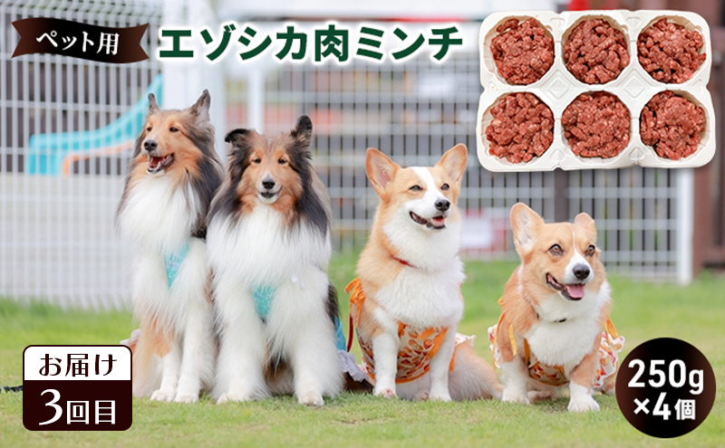 南富良野町が送る エゾシカの愛犬のおやつ 定期便 3回 [ ペット おやつ 餌 エゾシカ 鹿 角 犬 大型犬 中型犬 小型犬 日用品 ペット用品 鹿肉 ジビエ 健康 肉 ジャーキー ふりかけ 犬用おやつ ペットフード えさ ドッグフード北海道 南富良野町 ]