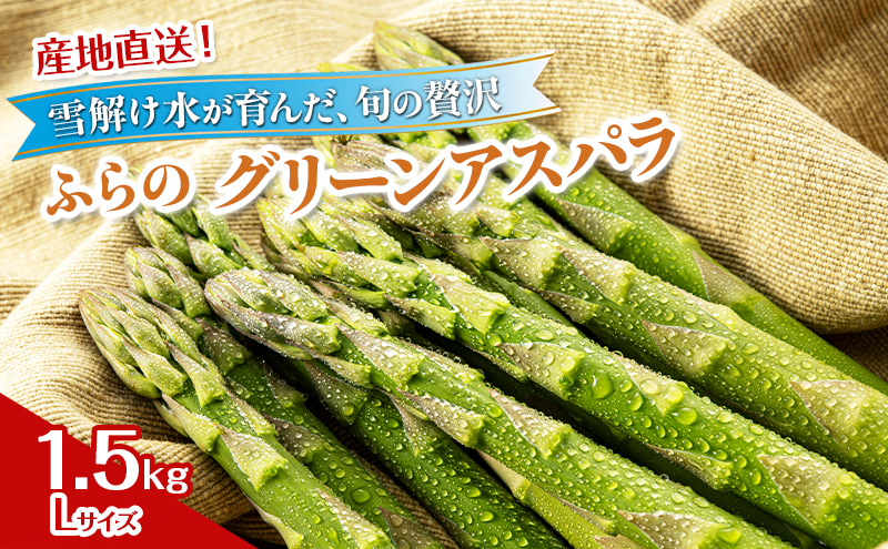 2026年夏発送！ [JAふらの厳選]富良野産 グリーンアスパラ Lサイズ 約1.5kg アスパラ 野菜 アスパラガス