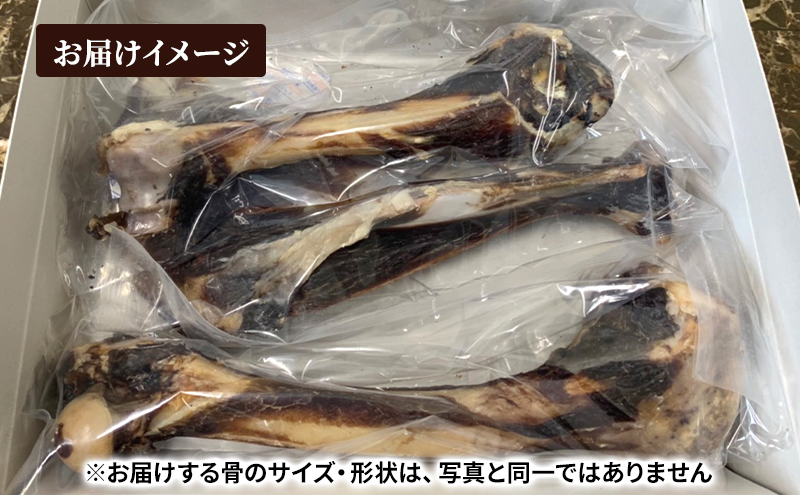 犬 おやつ 北海道 エゾシカボーン セット(12本)※中型～大型犬向き 国産 ジビエ 犬のおやつ 犬用おやつ ペットのおやつ ペット 骨 おもちゃ 鹿骨 鹿 エゾシカ 口臭 口臭ケア しつけ ドッグフード ペットフード ペット用品 餌
