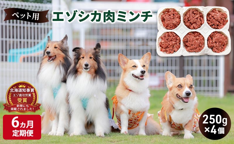 6ヵ月定期便 ペットのおやつ【エゾシカ肉のミンチ】250g×4 南富フーズ株式会社 鹿肉 ジビエ 餌 犬 猫 鹿 ペット 健康 無添加 肉 北海道 南富良野町 エゾシカ