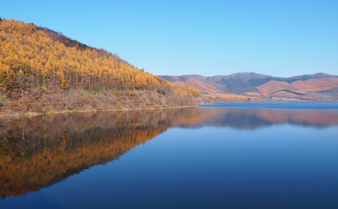 ペア宿泊券（コテージ）冬季　※11～5月 北海道 南富良野町 かなやま湖 宿泊券 宿泊 泊まる ツインルーム 旅行 贈り物 ギフト