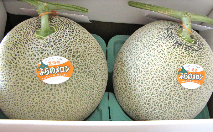 代引き不可 ふるさと納税 南ふらの産赤肉メロン1.6kg×2玉《作倶楽》 北海道南富良野町 highart.com.eg