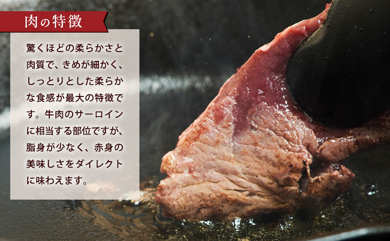 エゾシカ肉【ロース】ブロック約800g～1kg 北海道 南富良野町 エゾシカ 鹿肉 鹿 ブロック肉 ロース肉 お肉 焼肉 しゃぶしゃぶ ステーキ カツレツ 