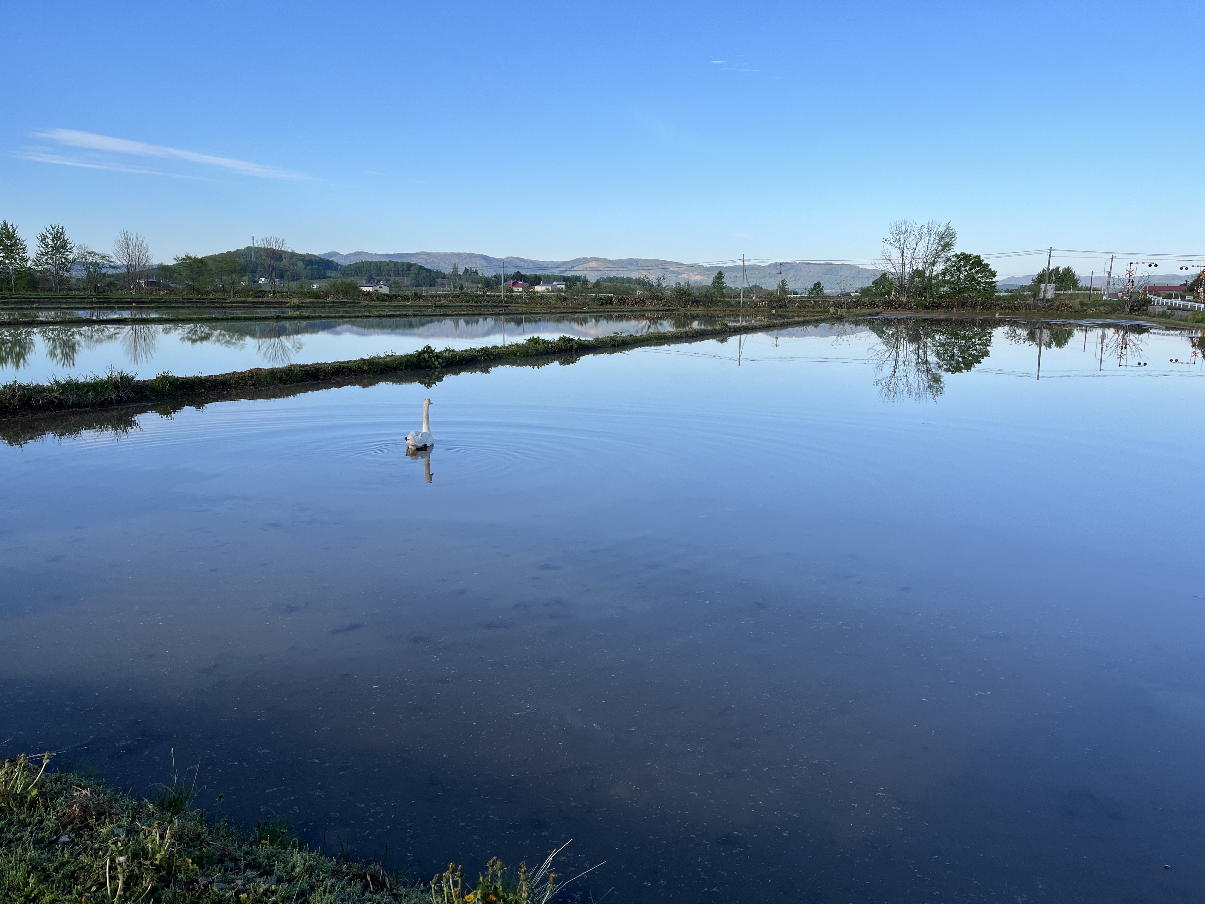 繧上▲縺輔縺ョ縺翫%繧√碁」溘∋縺上i縺ケ繧サ繝繝医10kg