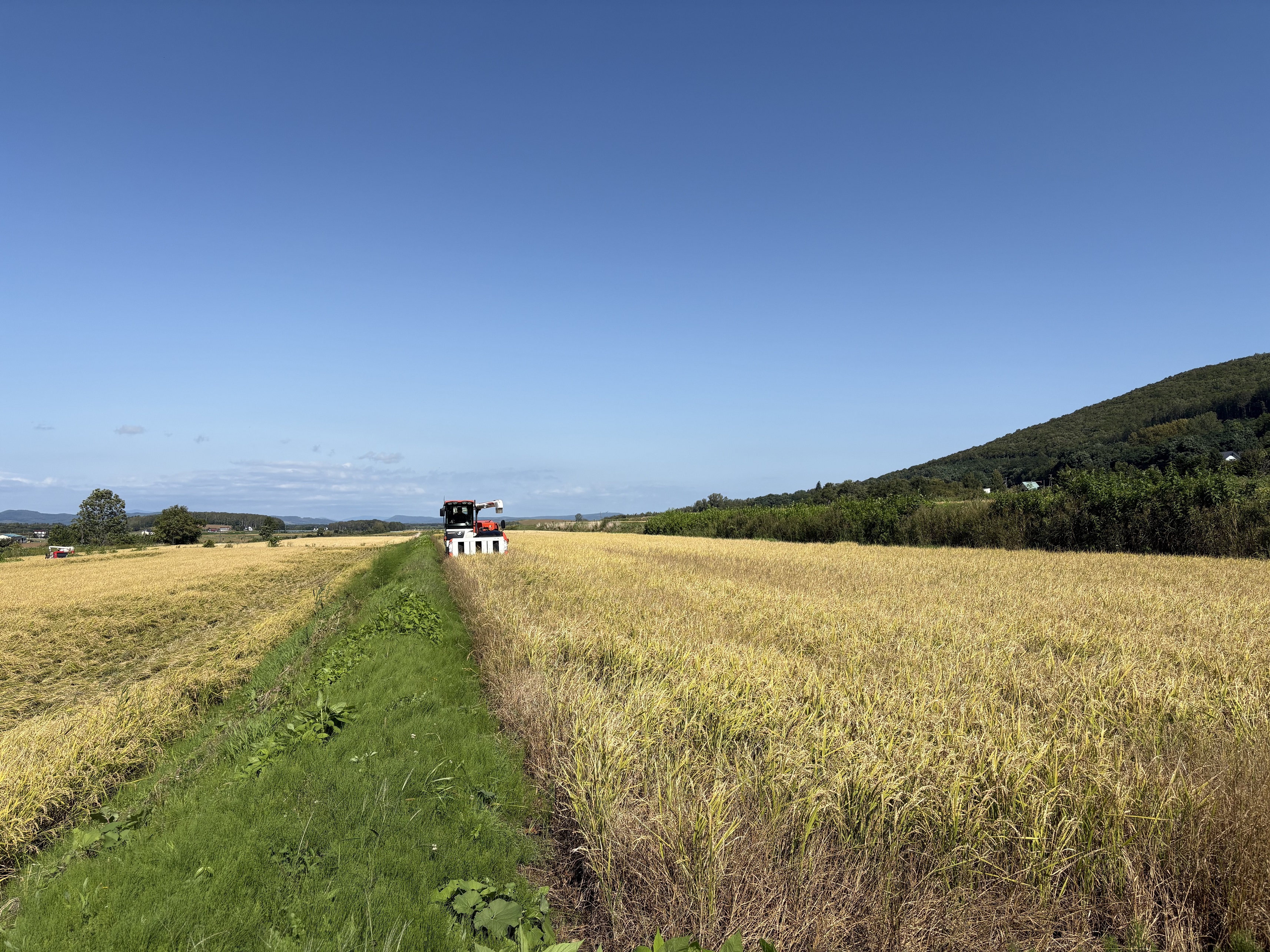 繧上▲縺輔縺ョ縺翫%繧√後f繧√エ繧翫°縲10kg