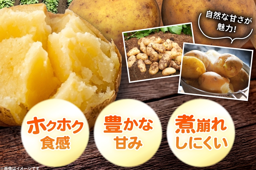  じゃがいも きたむかい 5kg [けんぶちVIVAマルシェ 北海道 剣淵町 14656394] ジャガイモ 芋 いも ポテト 野菜 秋野菜 秋 常備野菜 カレー シチュー ポテトサラダ