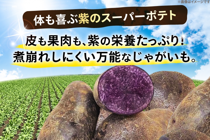  じゃがいも シャドークイーン 5kg [けんぶちVIVAマルシェ 北海道 剣淵町 14656391] ジャガイモ 芋 いも ポテト 野菜 秋野菜 秋 常備野菜 カレー シチュー ポテトサラダ