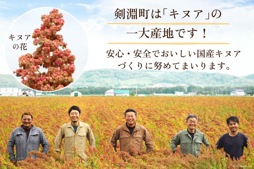 焙煎 キヌア 8g 2袋 計16g [けんぶちVIVAマルシェ 北海道 剣淵町 14656400] キヌア きぬあ オーガニック 健康 サラダ スープ