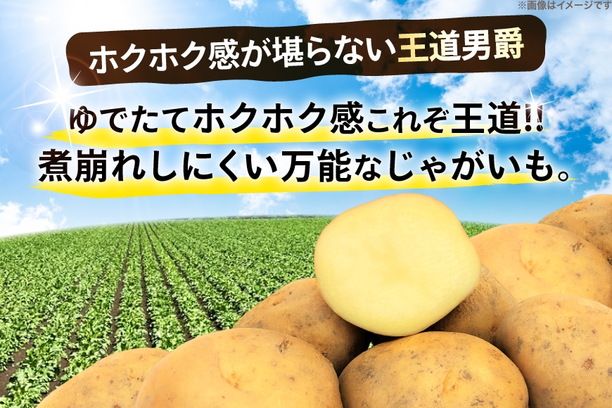  じゃがいも 男爵 5kg [けんぶちVIVAマルシェ 北海道 剣淵町 14656389] ジャガイモ 芋 いも ポテト 男爵 だんしゃく 野菜 秋野菜 秋 常備野菜 カレー シチュー ポテトサラダ