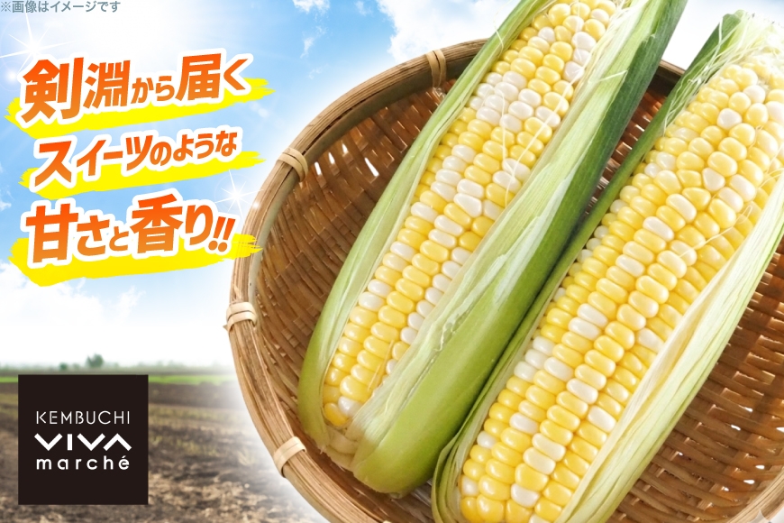 とうもろこし ドルチェドリーム 10本 [ けんぶちVIVAマルシェ 北海道 剣淵町 14656378 ] 野菜 トウモロコシ コーン スイートコーン 甘い 採れたて 新鮮 国産 冷蔵 ふるさと納税
