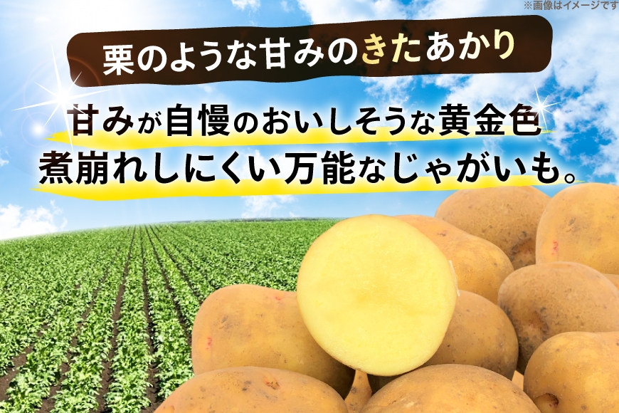  じゃがいも きたあかり 5kg [けんぶちVIVAマルシェ 北海道 剣淵町 14656388] ジャガイモ 芋 いも ポテト きたあかり キタアカリ 野菜 秋野菜 秋 常備野菜 カレー シチュー ポテトサラダ
