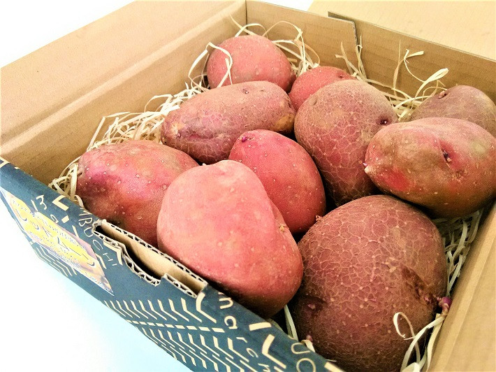 希少品種じゃがいもセット [けんぶちVIVAマルシェ 北海道 剣淵町 14656242] 野菜 国産 ジャガイモ じゃが芋