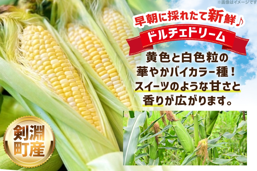 とうもろこし ドルチェドリーム 10本 [ けんぶちVIVAマルシェ 北海道 剣淵町 14656378 ] 野菜 トウモロコシ コーン スイートコーン 甘い 採れたて 新鮮 国産 冷蔵 ふるさと納税