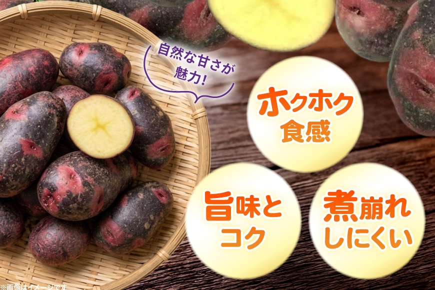  じゃがいも デストロイヤー 5kg [けんぶちVIVAマルシェ 北海道 剣淵町 14656393] ジャガイモ 芋 いも ポテト 野菜 秋野菜 秋 常備野菜 カレー シチュー ポテトサラダ 肉じゃが
