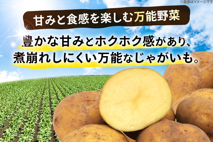  じゃがいも きたむかい 5kg [けんぶちVIVAマルシェ 北海道 剣淵町 14656394] ジャガイモ 芋 いも ポテト 野菜 秋野菜 秋 常備野菜 カレー シチュー ポテトサラダ