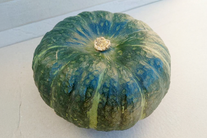 かぼちゃ くりてんか 約4kg 3玉 [けんぶちVIVAマルシェ 北海道 剣淵町 14656396] カボチャ 南瓜 野菜 やさい ベジタブル 美味しい ホクホク おかず