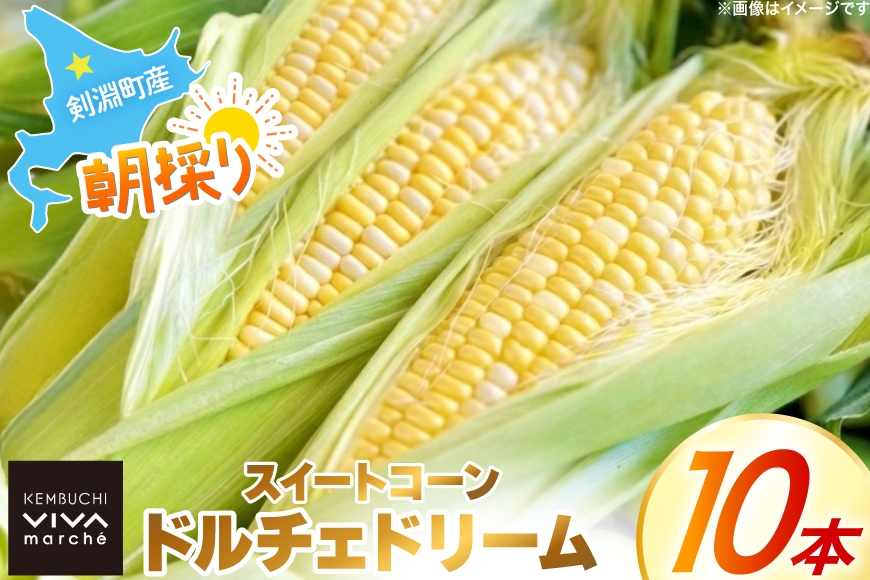 とうもろこし ドルチェドリーム 10本 [ けんぶちVIVAマルシェ 北海道 剣淵町 14656378 ] 野菜 トウモロコシ コーン スイートコーン 甘い 採れたて 新鮮 国産 冷蔵 ふるさと納税