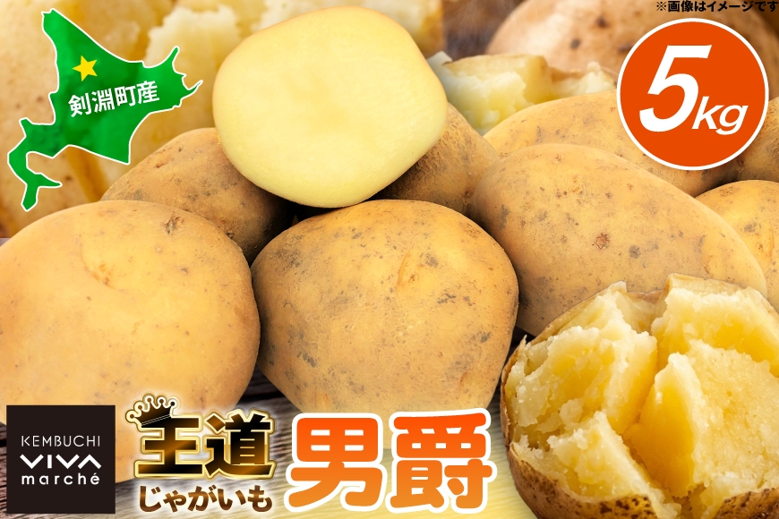  じゃがいも 男爵 5kg [けんぶちVIVAマルシェ 北海道 剣淵町 14656389] ジャガイモ 芋 いも ポテト 男爵 だんしゃく 野菜 秋野菜 秋 常備野菜 カレー シチュー ポテトサラダ