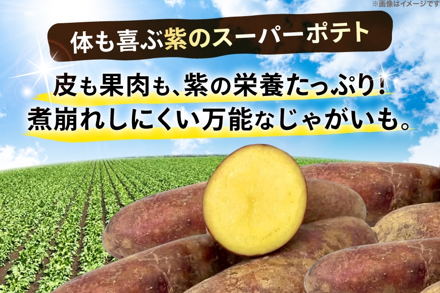 じゃがいも タワラヨーデル 5kg [けんぶちVIVAマルシェ 北海道 剣淵町 14656390] ジャガイモ 芋 いも ポテト 野菜 秋野菜 秋 常備野菜 カレー シチュー マッシュサラダ コロッケ 