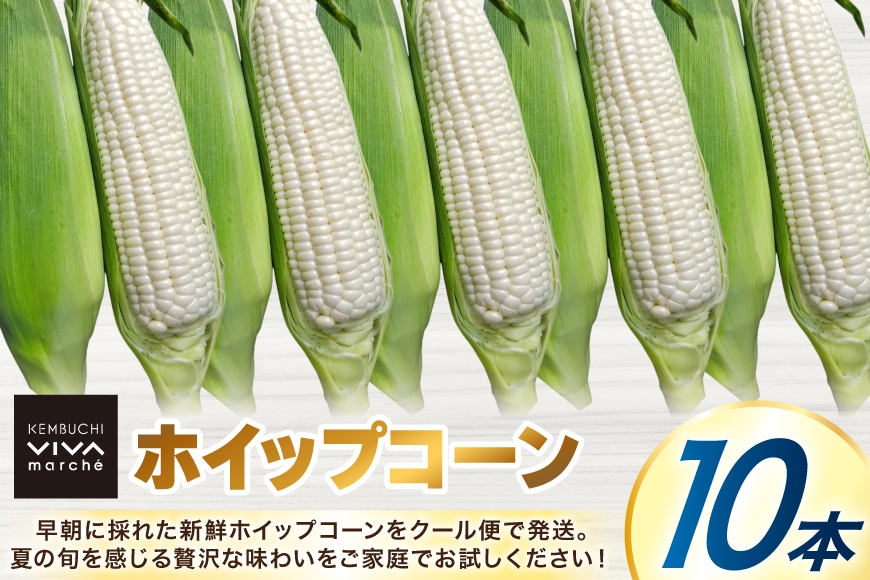 剣淵町産 ホイップコーン 10本 [けんぶちVIVAマルシェ 北海道 剣淵町 14656379] とうもろこし トウモロコシ ホイップコーン 夏 甘い ホワイト